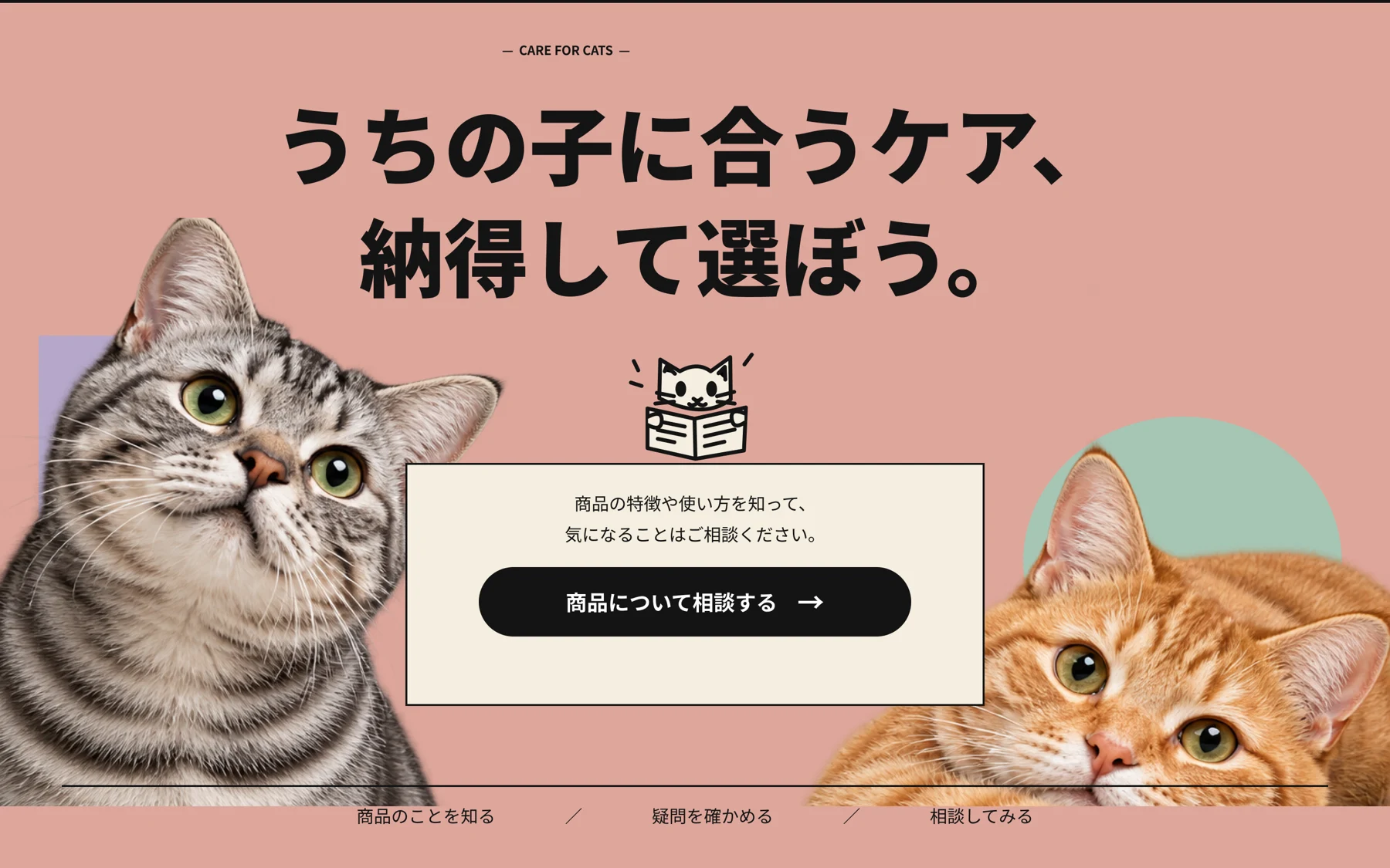 ねこヘルスケア LPの制作画面